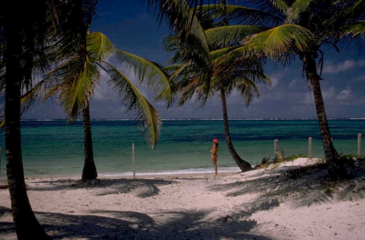 tropical beach scene 3 1980s 1990s A4 Photo Print