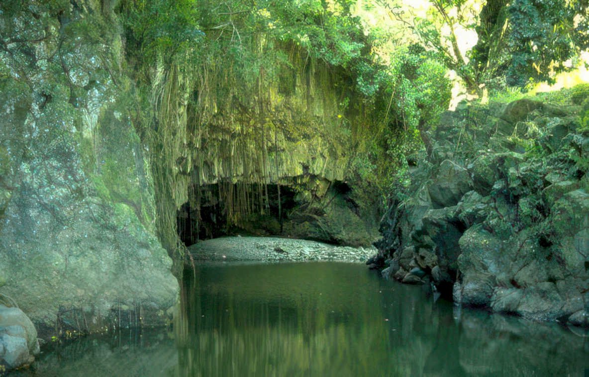 tropical cave entrance Vintage A4 Photo Print