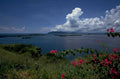 tropical coast hills 1980s 1990s A4 Photo Print