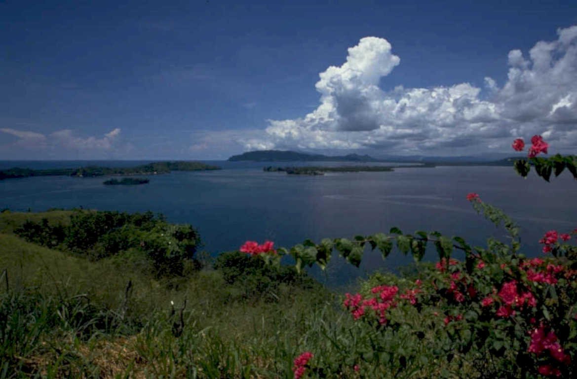 tropical coast hills 1980s 1990s A4 Photo Print