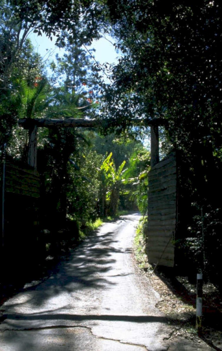 tropical driveway estate 1980s 1990s A4 Photo Print