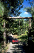 tropical driveway red 1980s 1990s A4 Photo Print