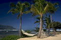 tropical hammock beach 1980s 1990s A4 Photo Print