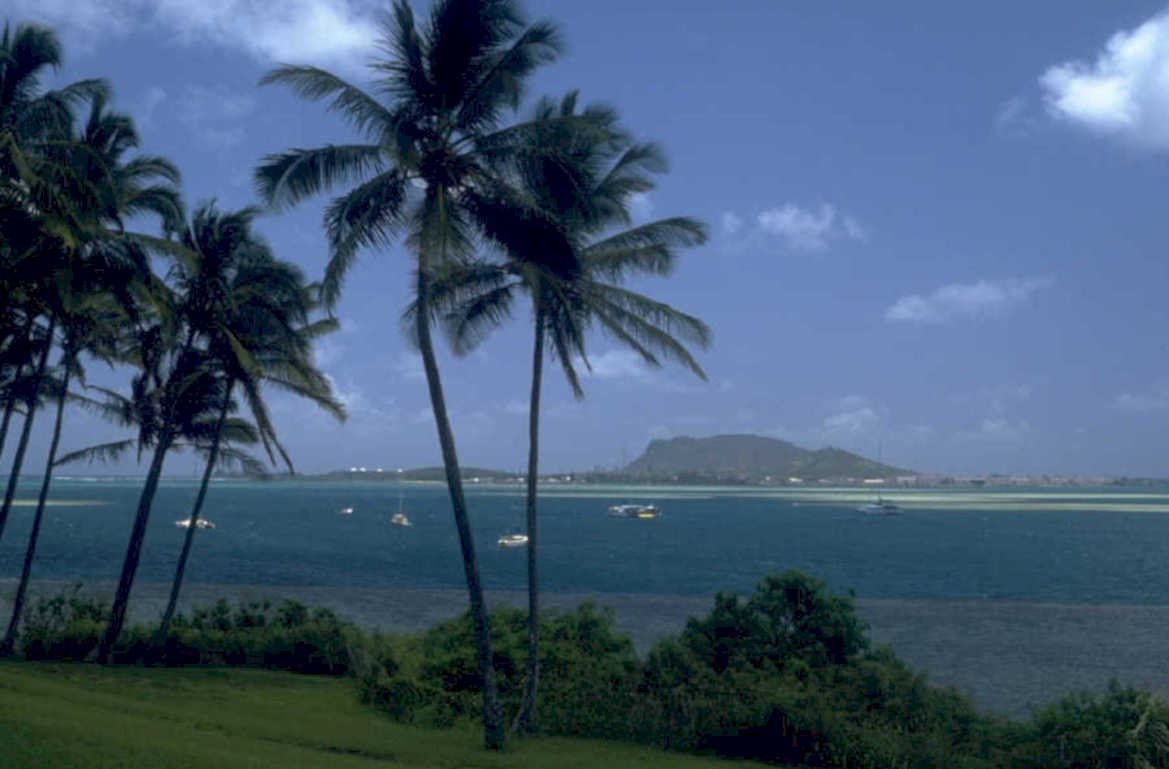 tropical landscape stcroix 1980s 1990s A4 Photo Print