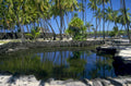 tropical pond reflection 1980s 1990s A4 Photo Print