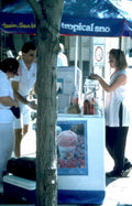 tropical sno stand Vintage A4 Photo Print