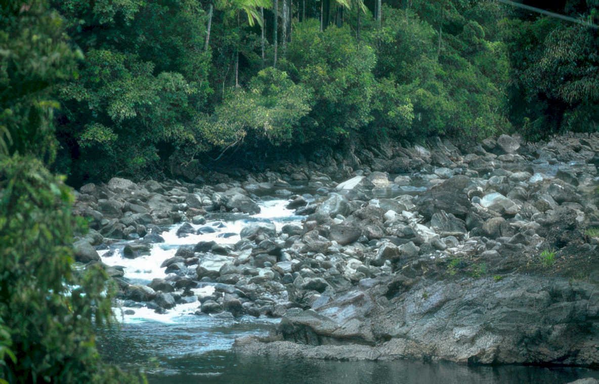tropical stream landscape GIGA 2