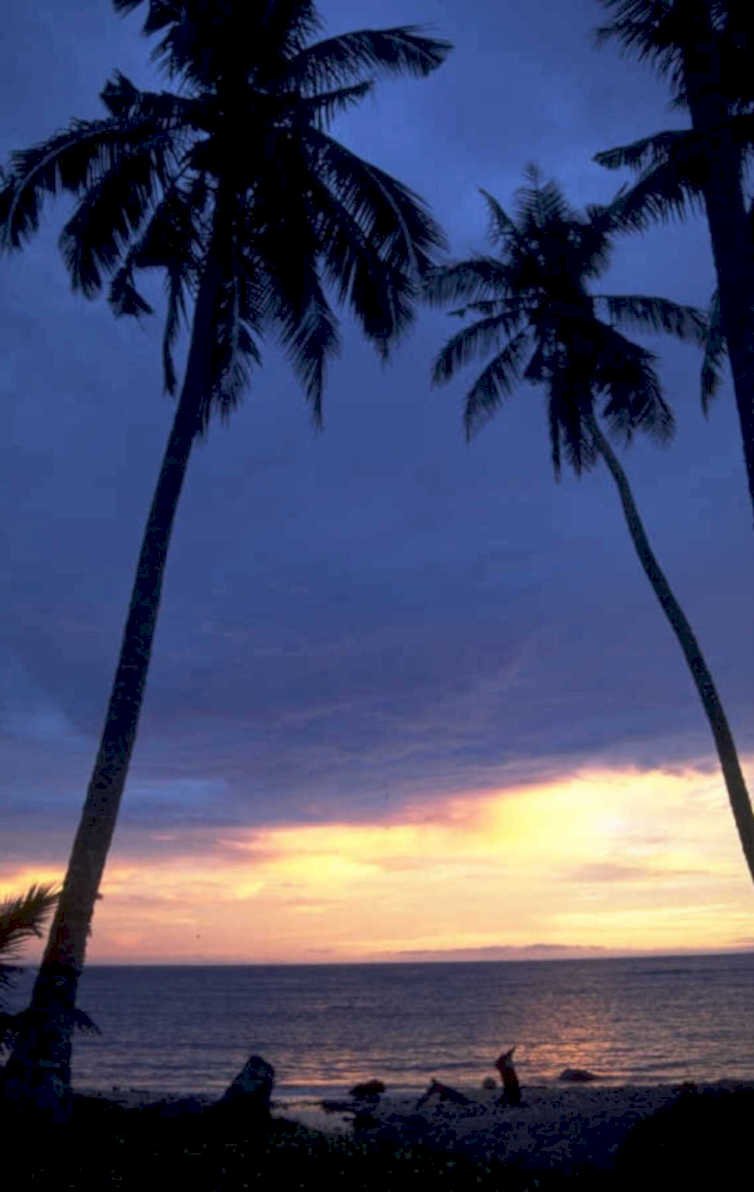 tropical sunset beach 1 1980s 1990s A4 Photo Print