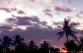 tropical sunset maui Vintage A4 Photo Print
