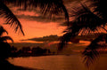 tropical sunset palm 1980s 1990s A4 Photo Print 42