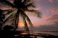 tropical sunset palm 1980s 1990s A4 Photo Print 43