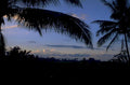 tropical sunset palm 1980s 1990s A4 Photo Print
