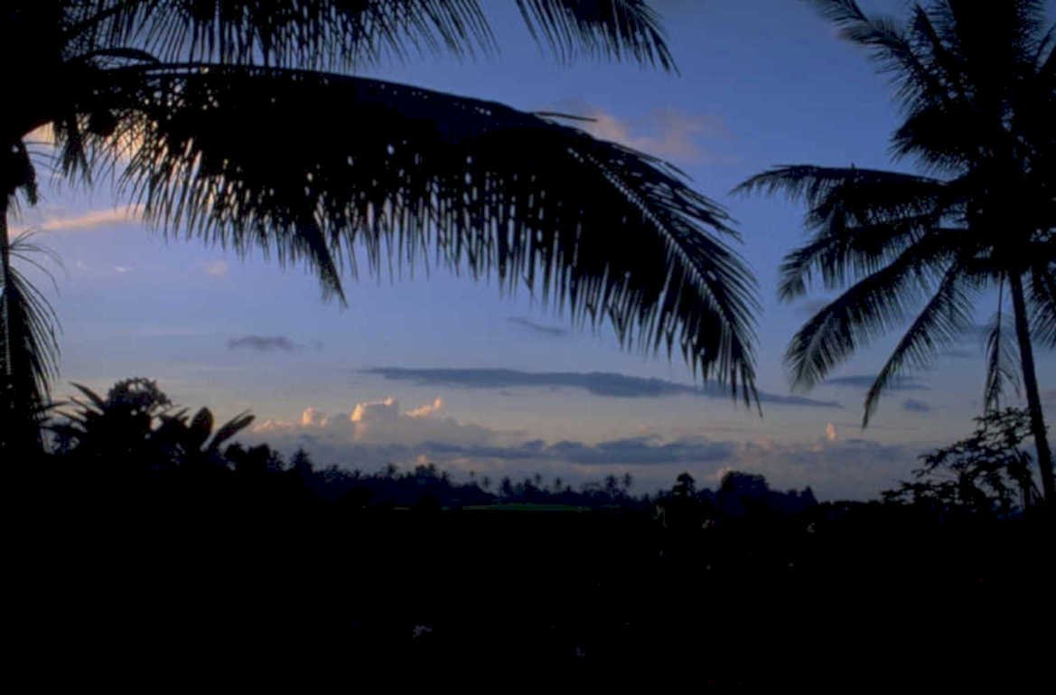 tropical sunset palm 1980s 1990s A4 Photo Print