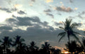 tropical sunset palm Vintage A4 Photo Print