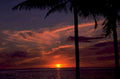 tropical sunset palms 1980s 1990s A4 Photo Print