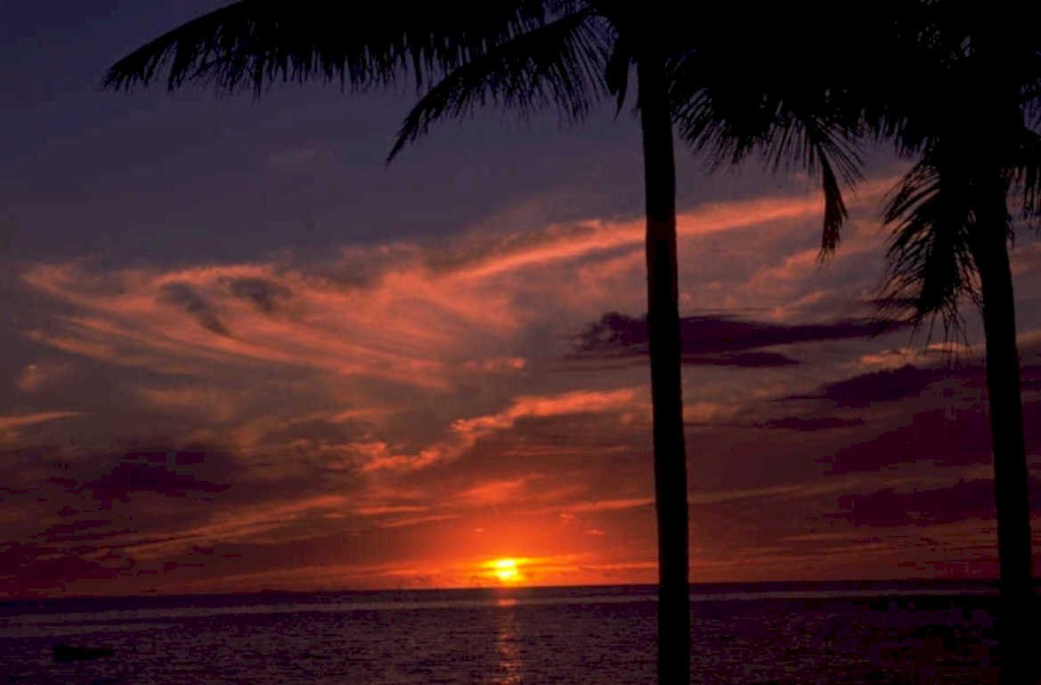 tropical sunset palms 1980s 1990s A4 Photo Print