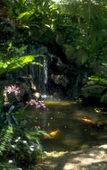tropical waterfall koi 1980s 1990s A4 Photo Print 42