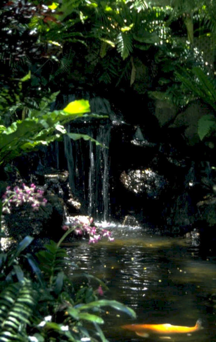 tropical waterfall koi 1980s 1990s A4 Photo Print