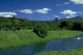 tropical waterway boat 1980s 1990s A4 Photo Print