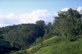tropicalhillside asia daylight 1980s 1990s A4 Photo Print