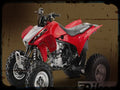 trx450r 1 A4 Photo Print Motorbike Vintage Aged