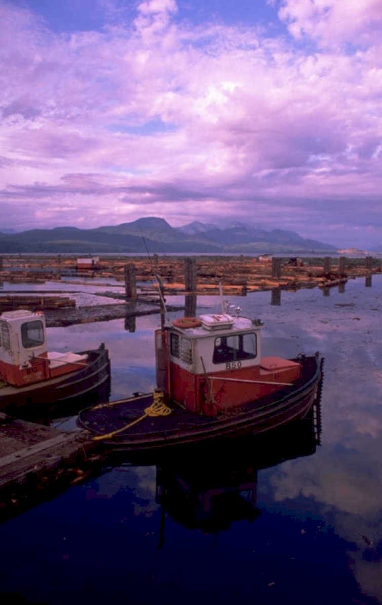 tugboats logs dusk 1980s 1990s A4 Photo Print