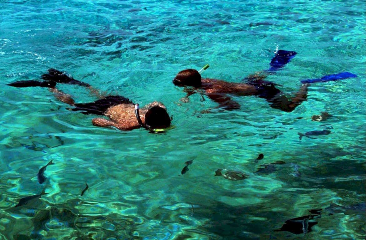 turquoise water snorkeling1980s 1990s A4 Photo Print