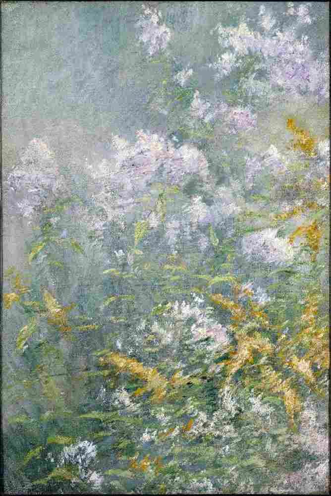 twa Golden Rod and Wild Aster Art A4 Photo Print