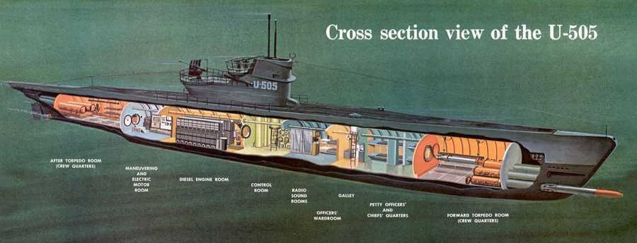 u 505 cutaway A4 Photo Print
