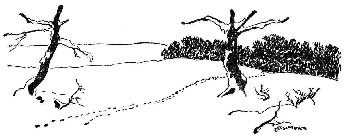 u Wind in the Willows Arthur Rackham MR BADGER A4 Photo Print