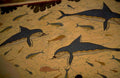 underwater dolphins fish 1980s 1990s A4 Photo Print