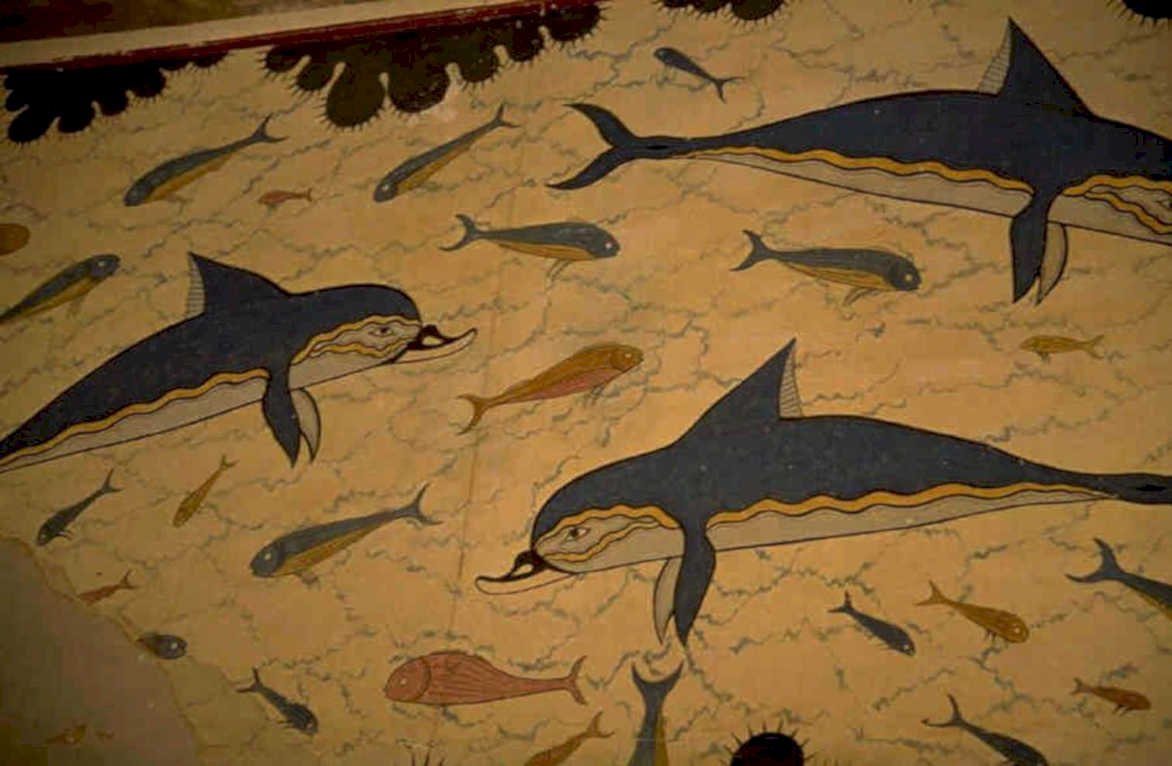 underwater dolphins fish 1980s 1990s A4 Photo Print