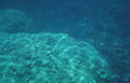 underwater reef rocks 1 Vintage A4 Photo Print