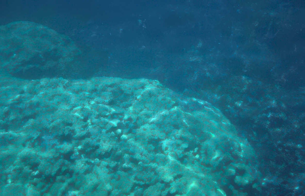 underwater reef rocks 1 Vintage A4 Photo Print
