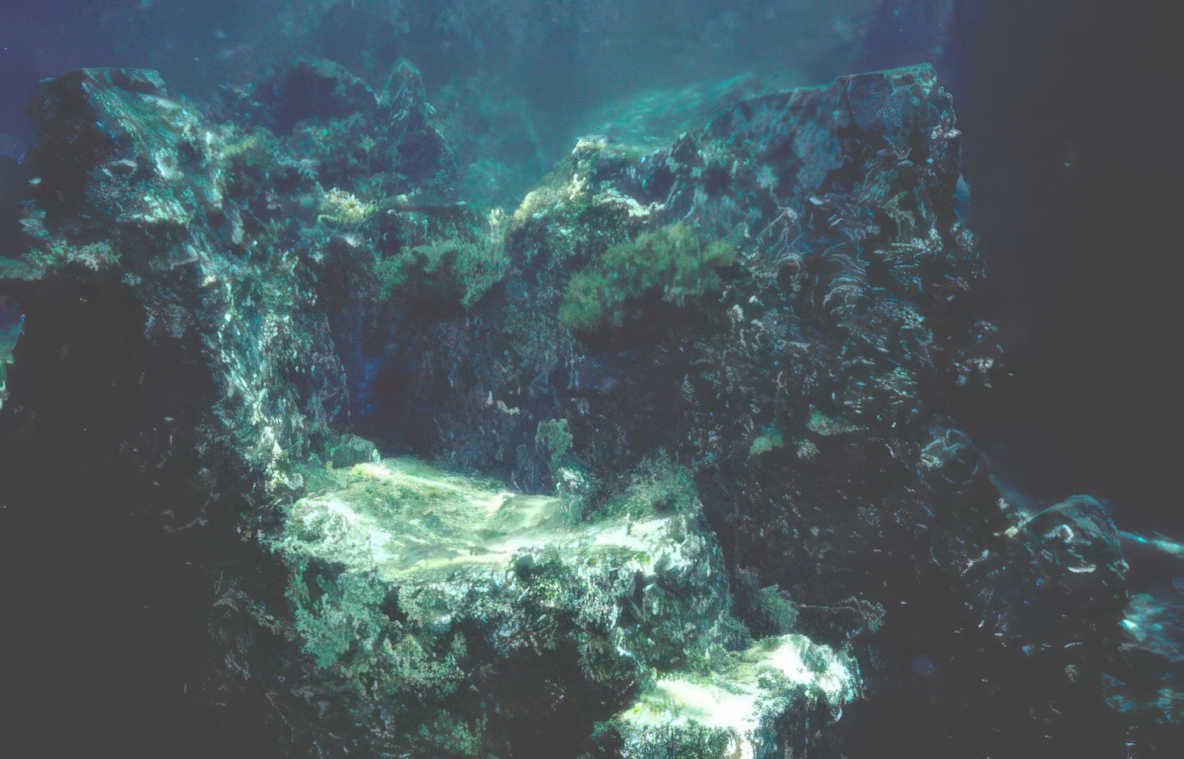 underwater reef rocks 2 Vintage A4 Photo Print