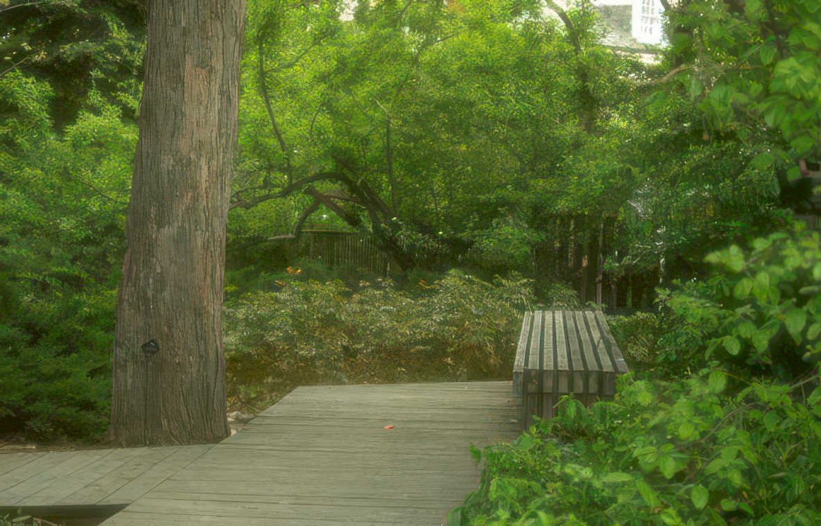 urban park bench Vintage A4 Photo Print