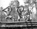 us army log Vintage world war A4 Photo Print