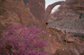utah arch landscape 1980s 1990s A4 Photo Print