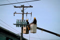 utility pole warning1980s 1990s A4 Photo Print