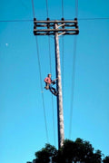utility worker pole1980s 1990s A4 Photo Print