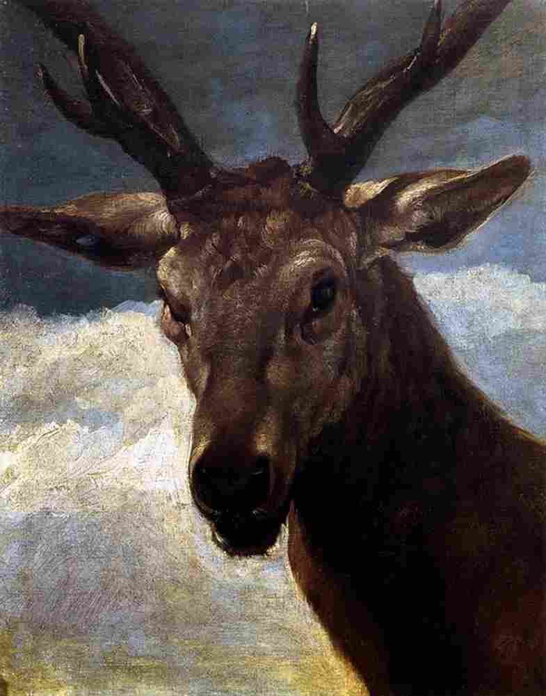 valaz Head of a Stag Art A4 Photo Print