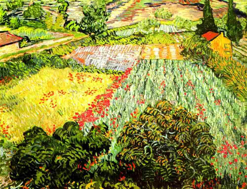 van gogh Field with Poppies Art A4 Photo Print