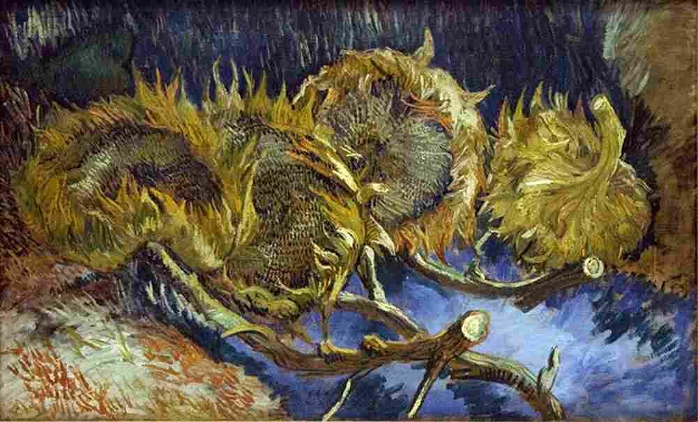 van gogh Four Cut Sunflowers main Art A4 Photo Print