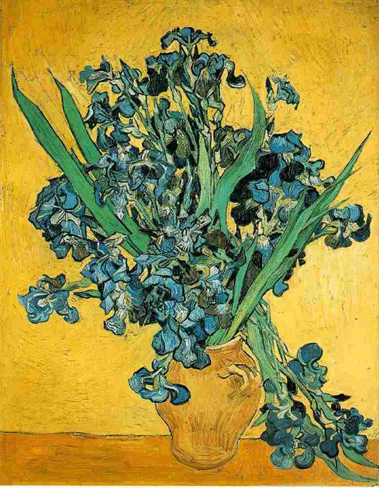 van gogh The Irises Art A4 Photo Print