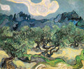 van gogh The Olive Trees Art A4 Photo Print