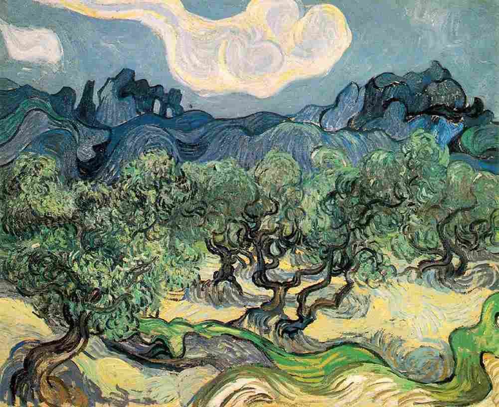 van gogh The Olive Trees Art A4 Photo Print