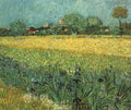 van gogh View of Arles with Irises Art A4 Photo Print