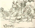 van gogh a group of pine trees 1889 Art A4 Photo Print