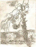 van gogh a weather beaten pine tree 1889 Art A4 Photo Print