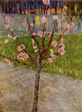 van gogh almond tree in blossom 1888 Art A4 Photo Print